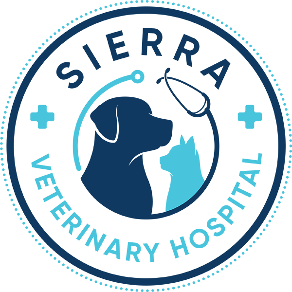 Make an Appointment – Sierra Veterinary Hospital