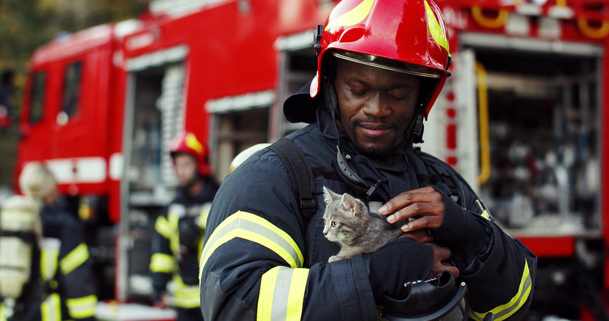 Firefighter and Kitten